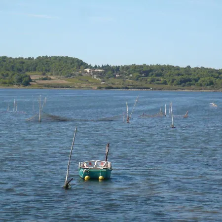 La Maison De L'etang Hébergement de vacances Gruissan